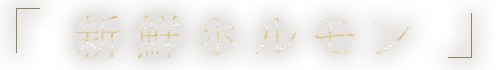新鮮ホルモン