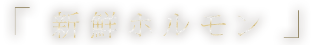 新鮮ホルモン