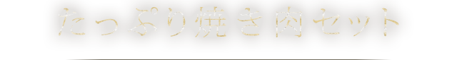 たっぷり焼き肉セット